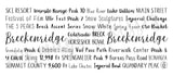 Breckenridge, CO Mug