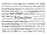 Yellowstone Tumbler