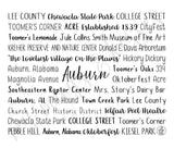 Auburn, AL Travel Mug