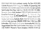Columbia, SC Tumbler
