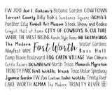 Fort Worth, TX Travel Mug