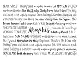 Memphis, TN Tumbler