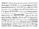 Syracuse, NY Tumbler