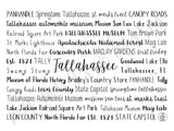 Tallahassee, FL Tumbler