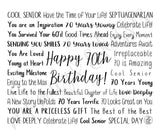 70th Birthday Travel Mug