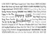 60th Birthday Tumbler