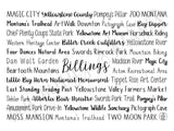 Billings, MT Tumbler