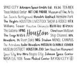 Houston, TX Travel Mug