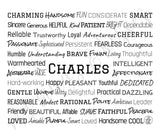 Charles Travel Mug